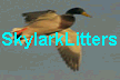 Litters